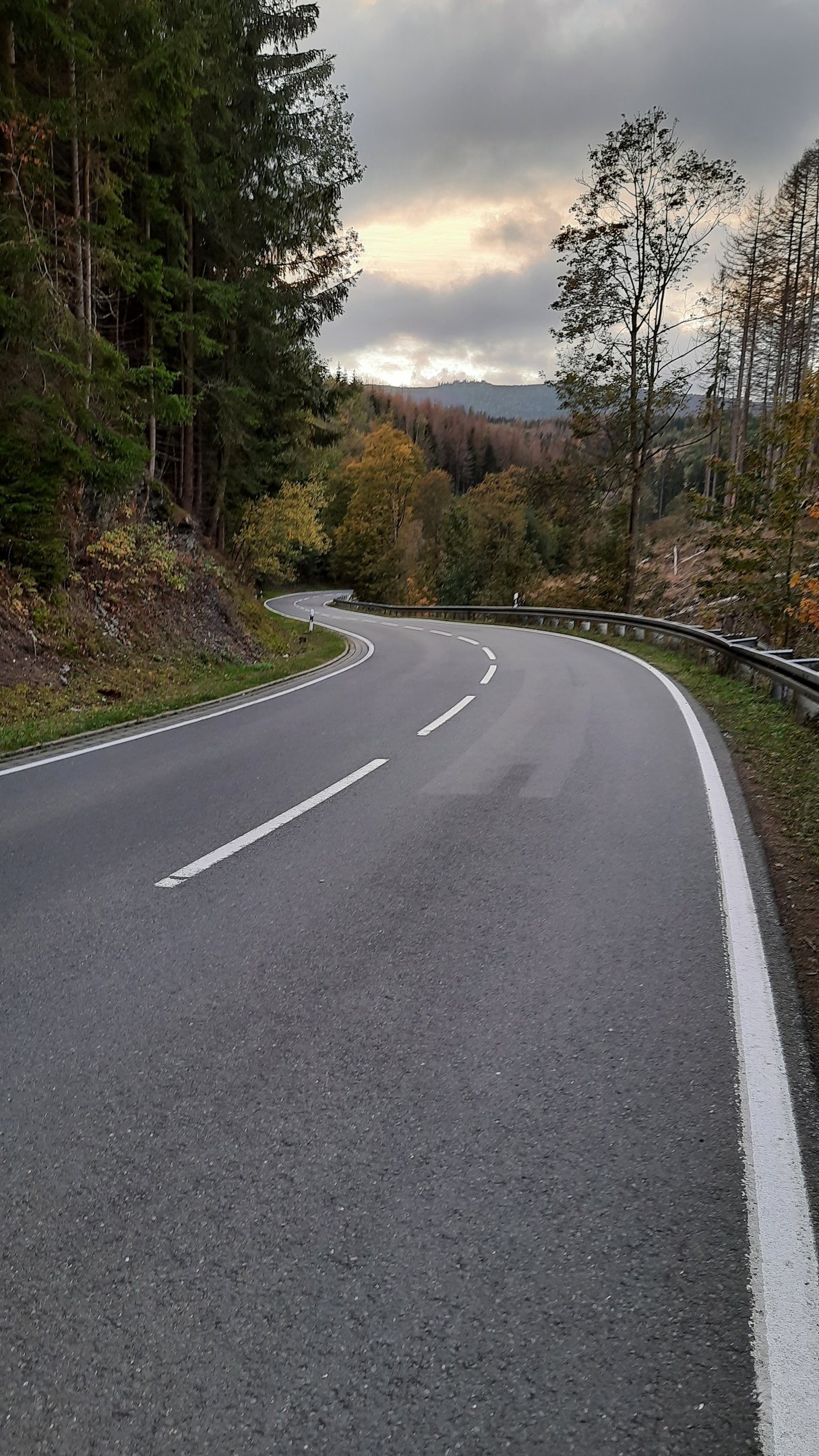 Kurvenreiche Landstraße durch den herbstlichen Harzer Wald.
